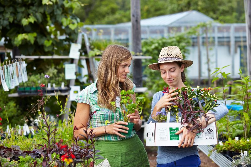 Zwei Frauen in einem Gartenladen, eine mit Strohhut, halten Pflanzen in der Hand.
