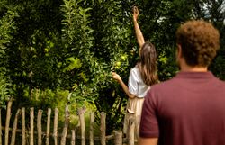 Inmitten eines üppigen Gartens erntet eine junge Frau frische Äpfel von einem prächtigen Apfelbaum. Die warmen Sonnenstrahlen tauchen die Szene in ein goldenes Licht und schaffen eine einladende Atmosphäre, die zum Verweilen einlädt.