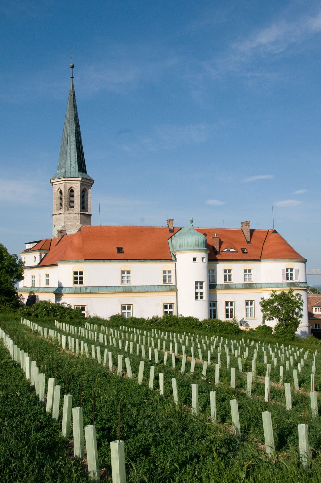 Schloss Gumpoldskirchen mit rotem Dach und Turm, umgeben von Weinbergen unter blauem Himmel.