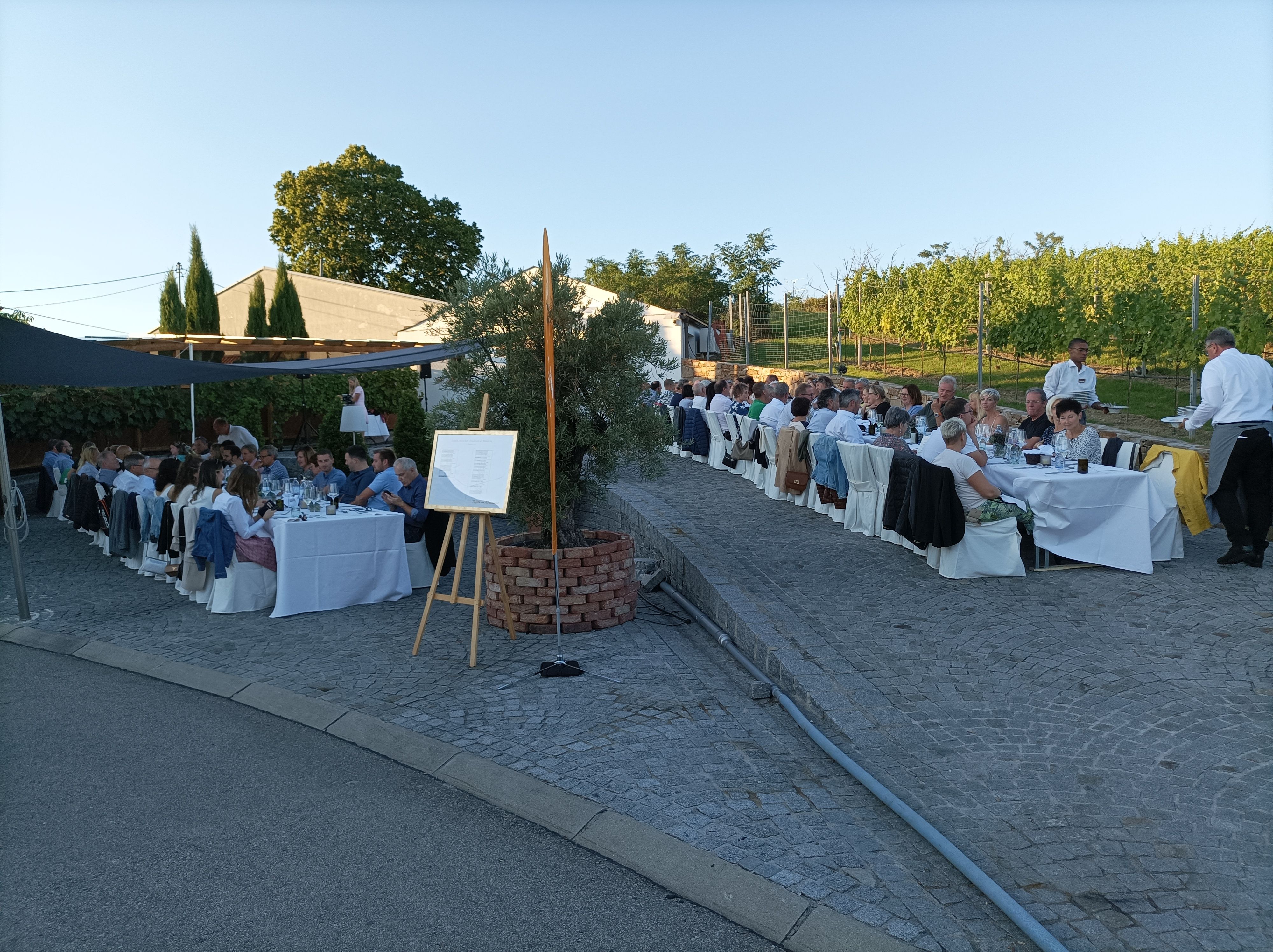 Menschen sitzen an langen Tischen im Freien bei einem Abendessen in einem Weinberg.