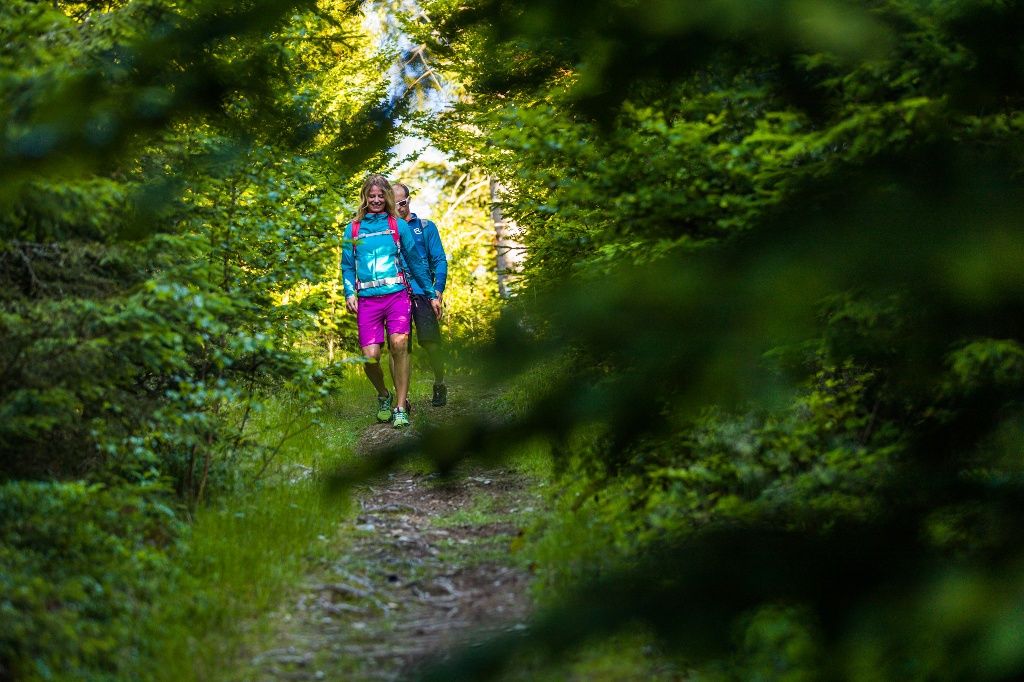 Waldweg zum Hutwisch