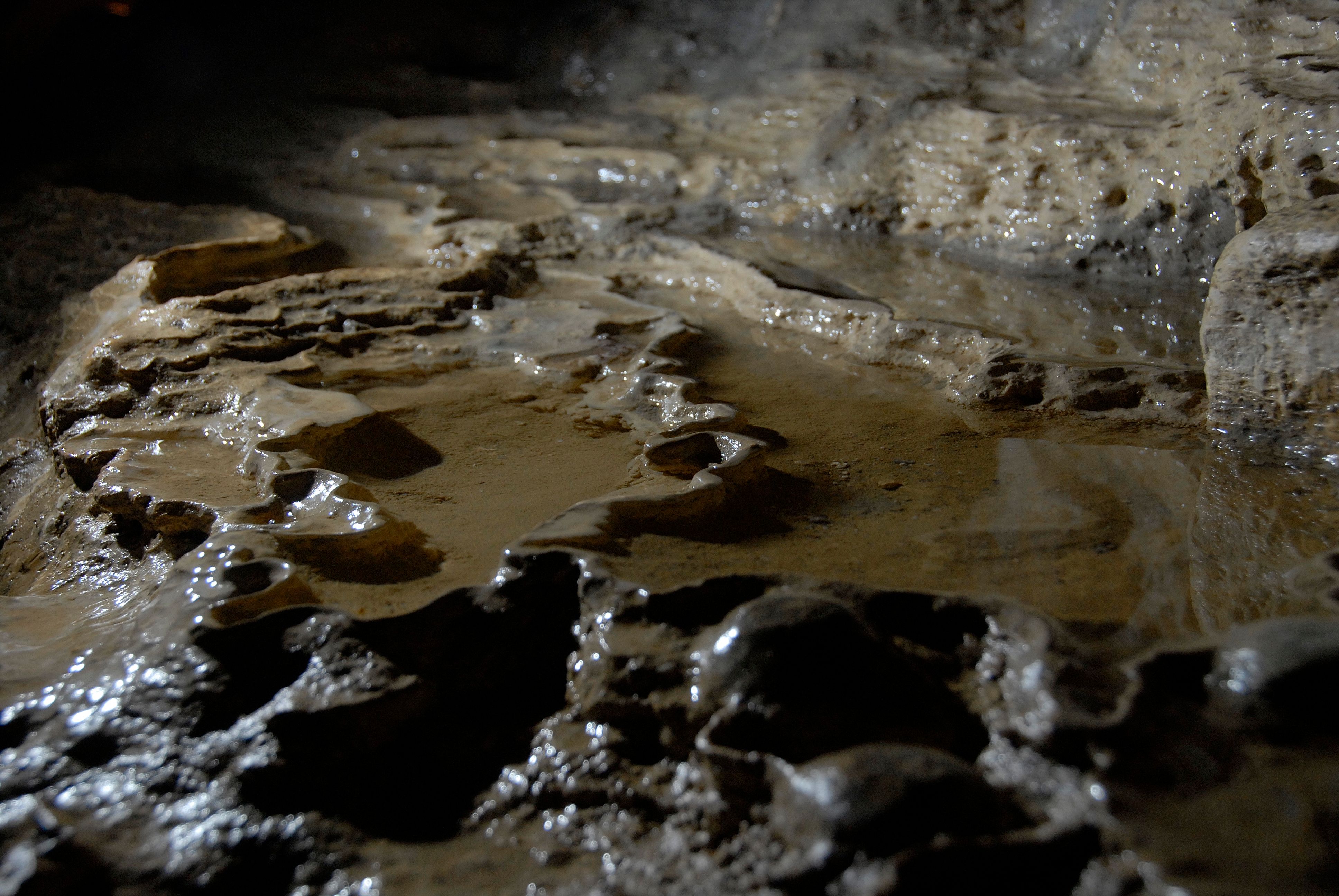 Nahaufnahme von glatten, feuchten Felsformationen in einer Höhle.