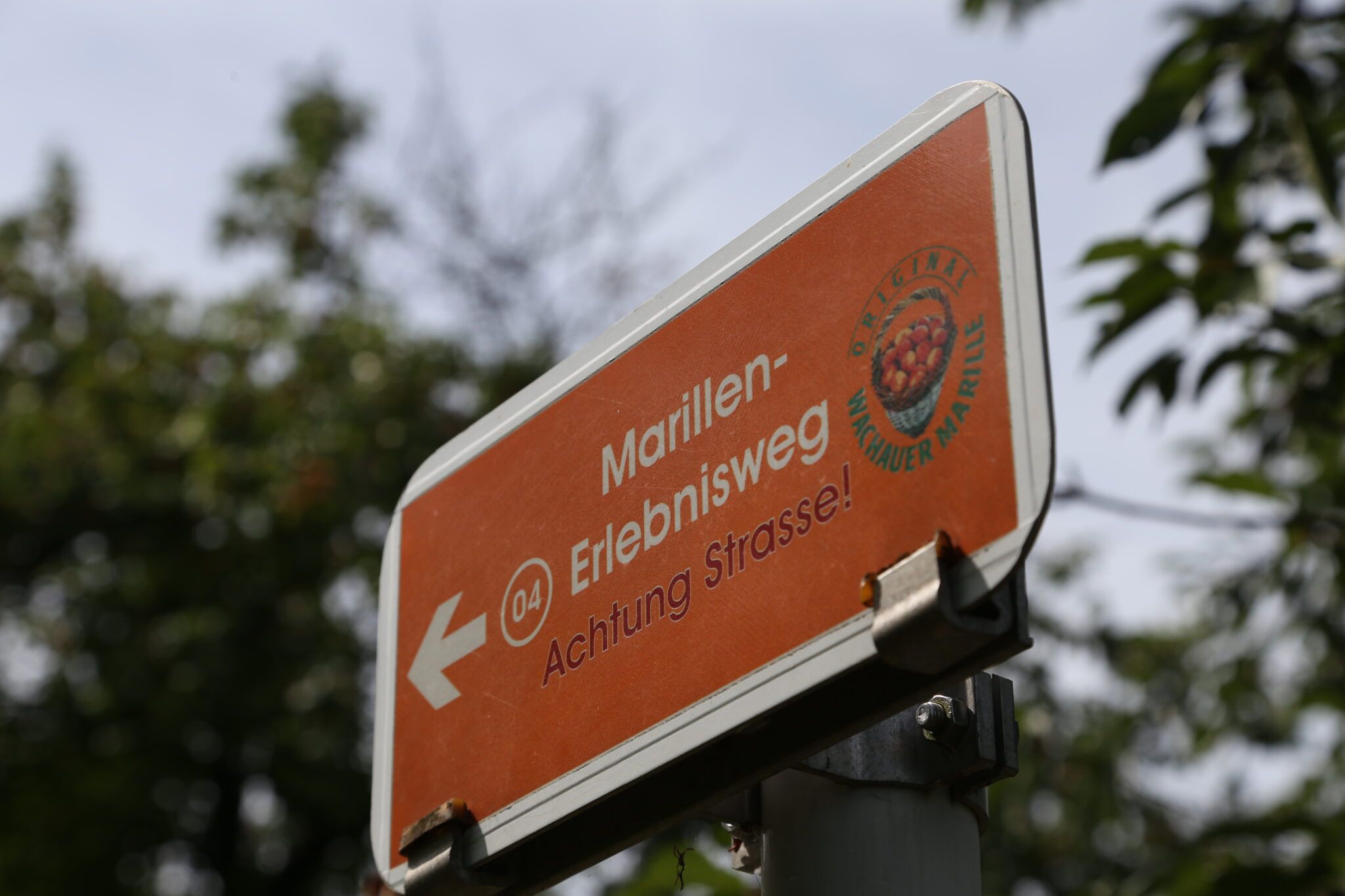 Ein oranges Schild mit der Aufschrift 'Marillen-Erlebnisweg' und einem Pfeil nach links. Es warnt vor einer Straße.