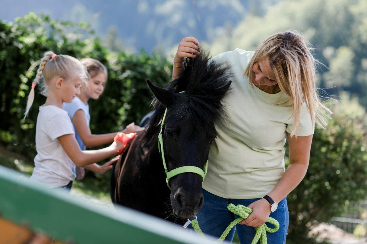 Urlaub am Zwergerlhof