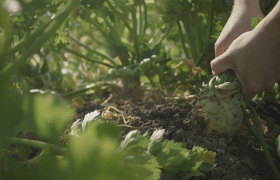 Treffen sich Zwei Mostviertler Feldversuche, © We Make Stories