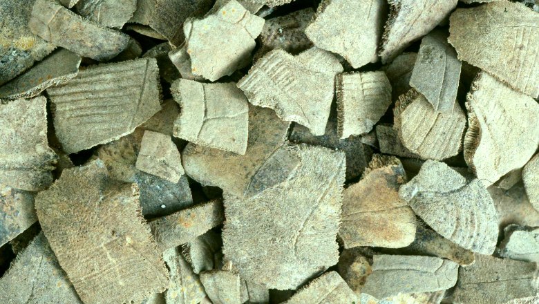 Bei Ausgrabungen gefundene Speisereste: Stücke von Schildkrötenpanzern, © Rudolf Gold