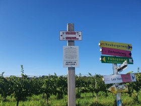 Wegweiser, &copy; Wienerwald