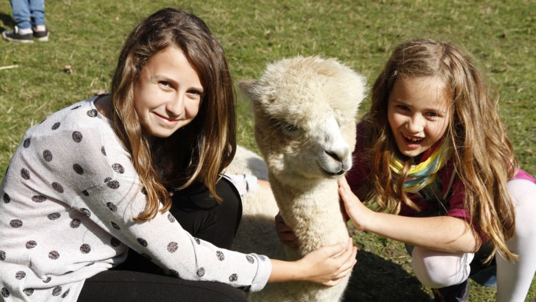 Die Alpakas sind soooo flauschig und sehr umg&auml;nglich!, &copy; Scherzer