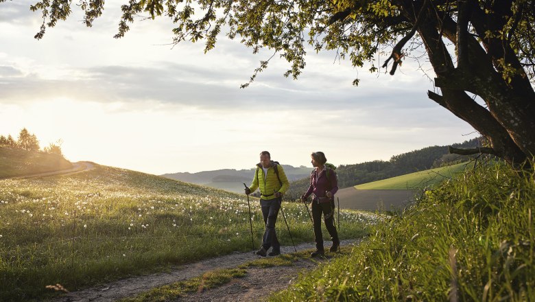 Durch die sanfte Landschaft der Buckligen Welt wandern, &copy; Wiener Alpen/Florian Lierzer