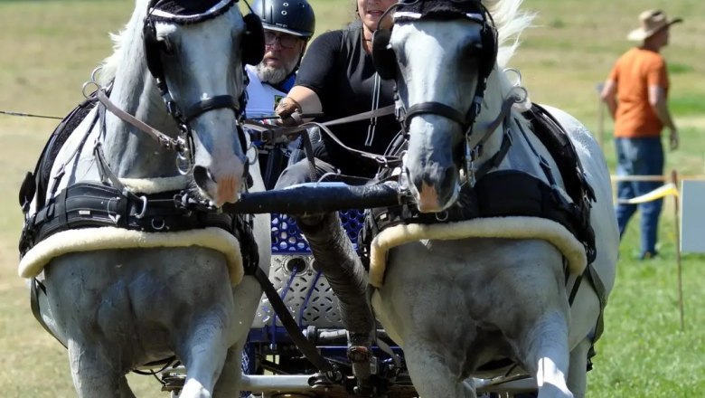 Gel&auml;ndepr&uuml;fung, &copy; Sonja Bauer