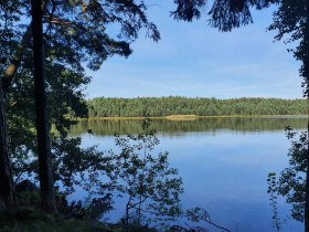 Bruneiteich, &copy; Margit Weikartschl&auml;ger