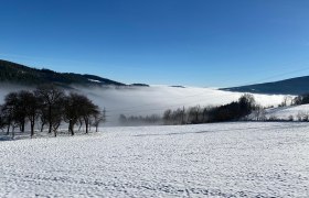 Wandern über dem Nebel, © Wiener Alpen in Niederösterreich