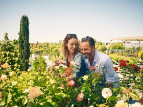 G&auml;rtnerei Starkl, &copy; Donau Nieder&ouml;sterreich - Kamptal-Wagram-Tullner Donauraum