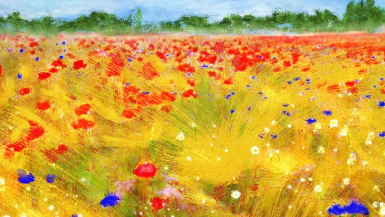 kornfeld, &copy; Gerald Frey 2022