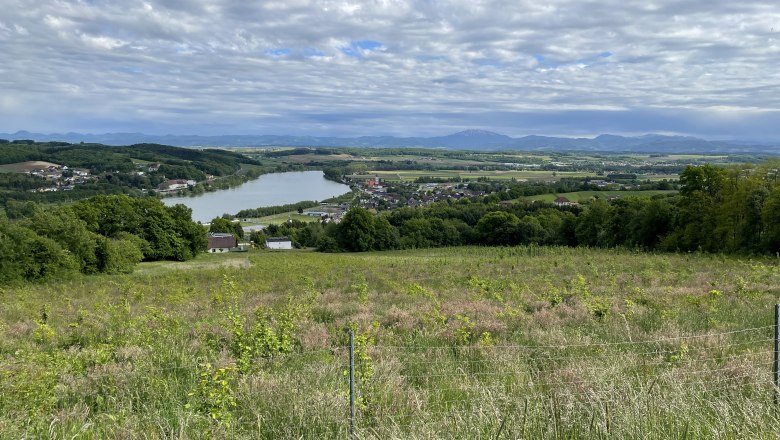 Blick vom Naturfreundestein auf die Donauschleife, © Tamara Leeb