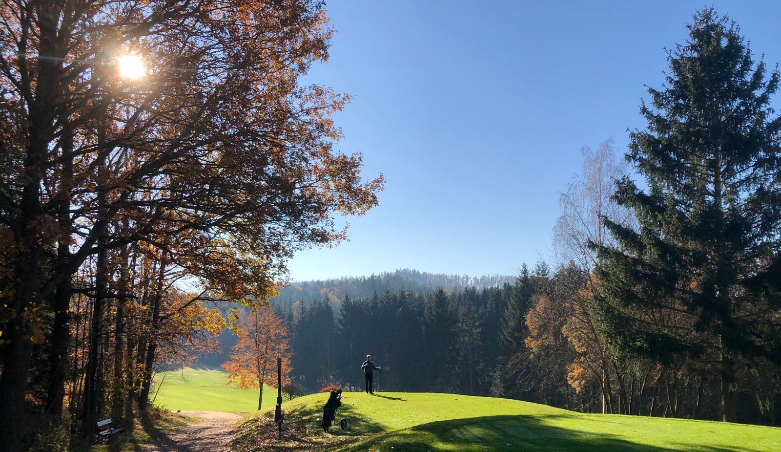 Golfer auf sonnigem Herbstplatz, umgeben von Bäumen und Wald.