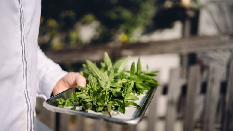 Landgasthof Bachlerhof, &copy; Moststra&szlig;e, dochbodnliacht