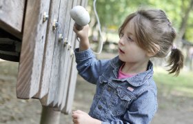 Natur neu entdecken, &copy; weinfranz.at