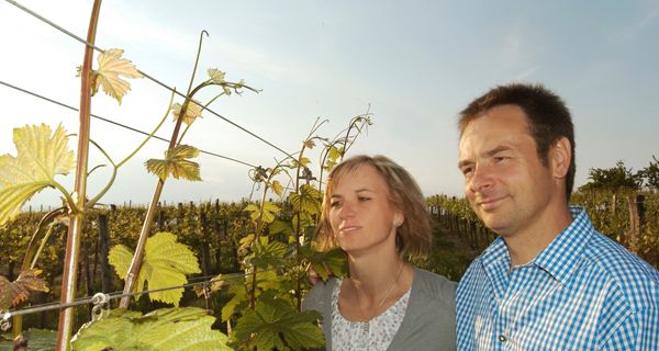 Weingut Lorenz Bauer