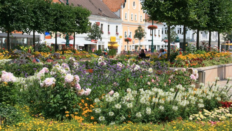 Blumenbeete und Gebäude am Hauptplatz in Tulln.