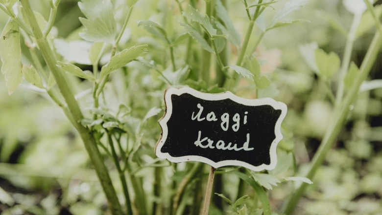 Nahaufnahme von gr&uuml;nen Kr&auml;utern mit einem Schild, auf dem 'Maggikraut' steht.