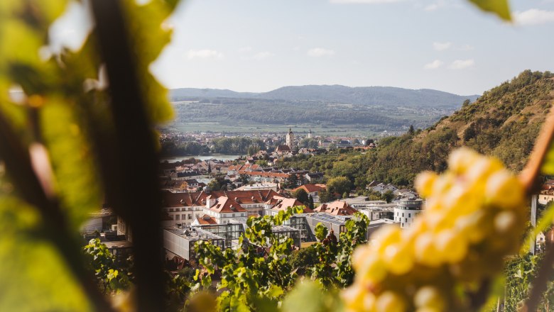 Unterwegs am Welterbesteig mit Blick auf Krems., © Franziska Consolati
