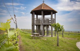KWTD Aussichtswarte Fels am Wagram, &copy; Donau Nieder&ouml;sterreich, Barbara Elser