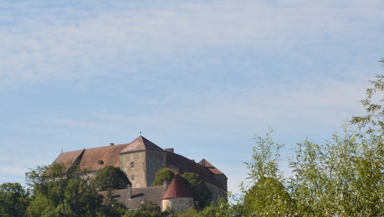 Burg Neulengbach auf einem bewaldeten H&uuml;gel unter blauem Himmel.