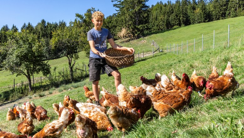 Biohof Krottensee, &copy; Theo Kust