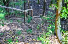 Heilwald Senftenberg, &copy; Nuhr Medical Center