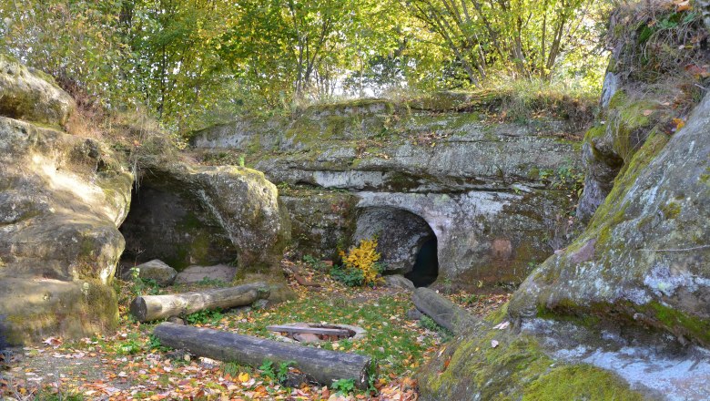 Eingang zu einer H&ouml;hle in einem bewaldeten Gebiet mit Laub auf dem Boden.