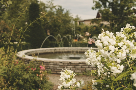 Wasser ist die treibende Kraft der Natur, © We Make Stories