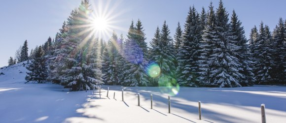 Mitterbach im Winter, © Niederösterreich Werbung/Sabine Wieser