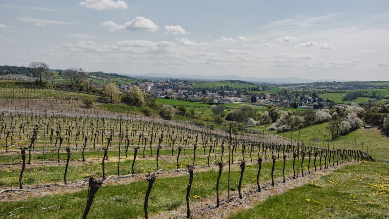 Weinberge mit Dorf im Hintergrund unter blauem Himmel.