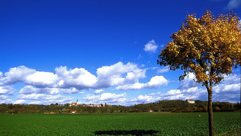Landschaft mit Baum, gr&uuml;nem Feld und Dorf im Hintergrund unter blauem Himmel mit Wolken.