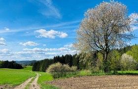 Weitra, © Dr. Markus Peham