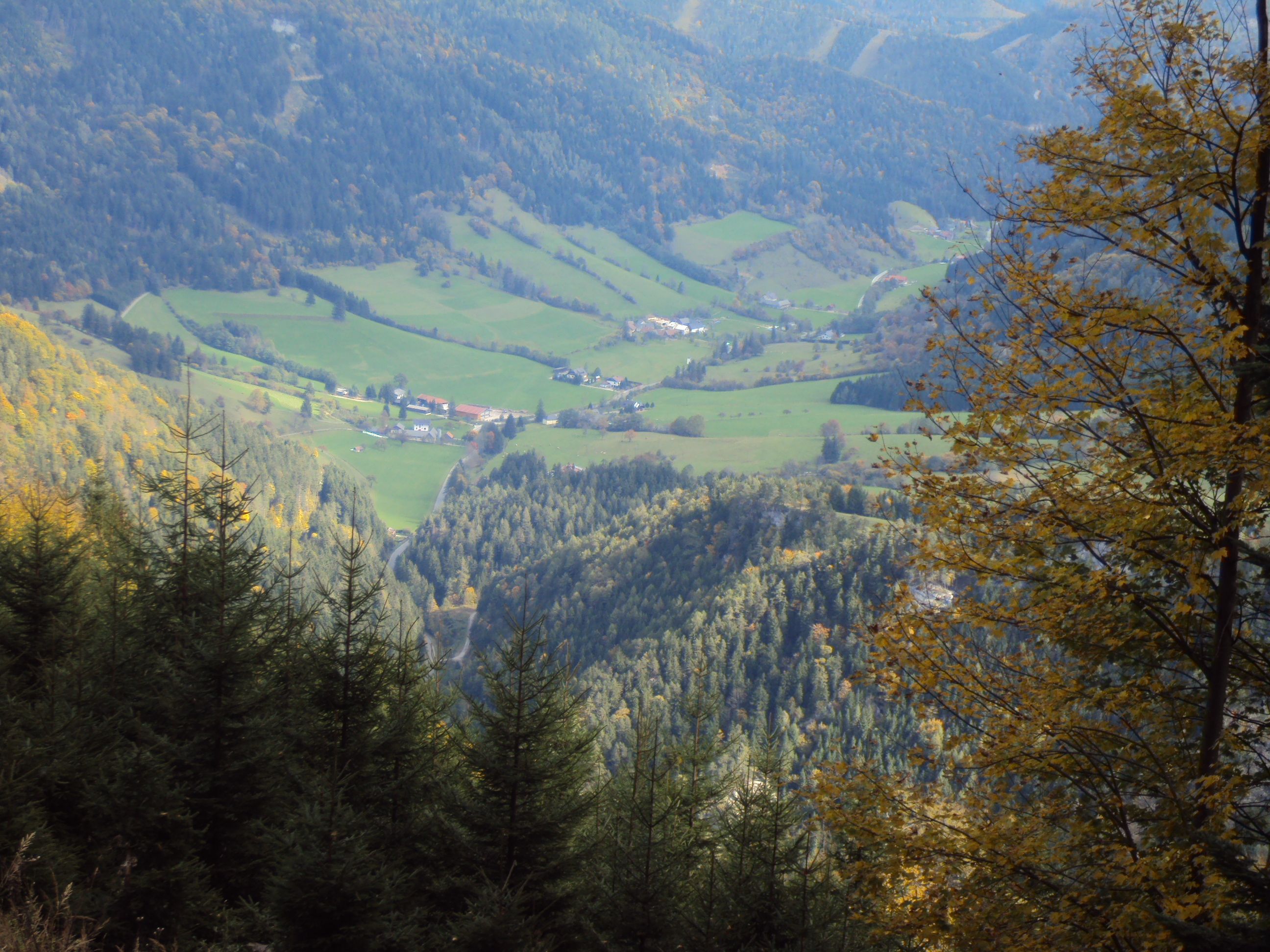 Landschaft