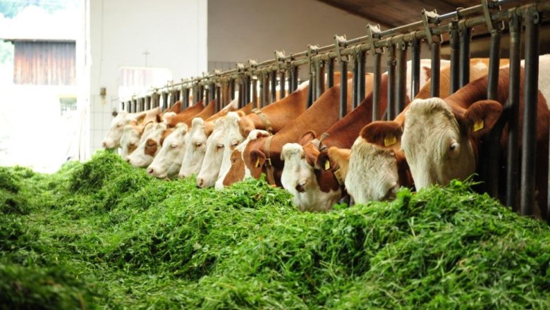 Stall, &copy; Biobauernhof Dangl, Robert Herbst