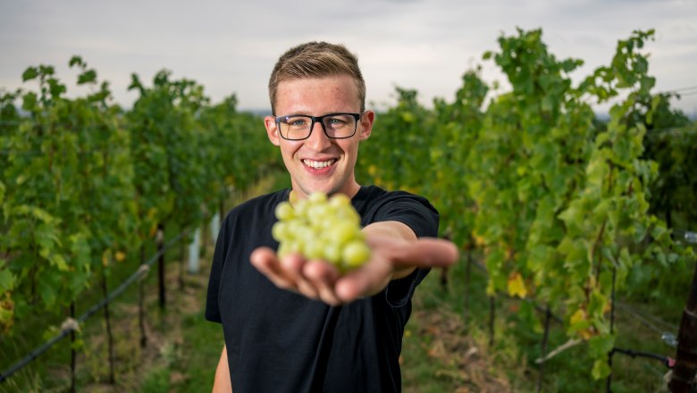 Ein Mann in einem Weinberg h&auml;lt eine Traube in die Kamera.