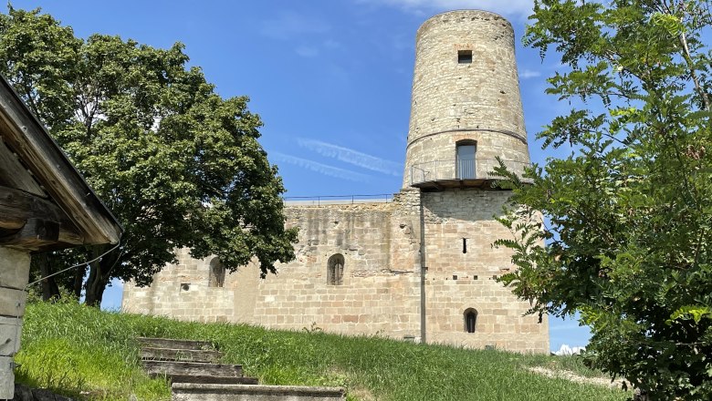Ruine Markgrafneusiedl mit Turm und B&auml;umen im Vordergrund.