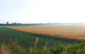 Die bronzezeitlichen Gräberfelder in Franzhausen, © ARDIG/Volker Lindinger