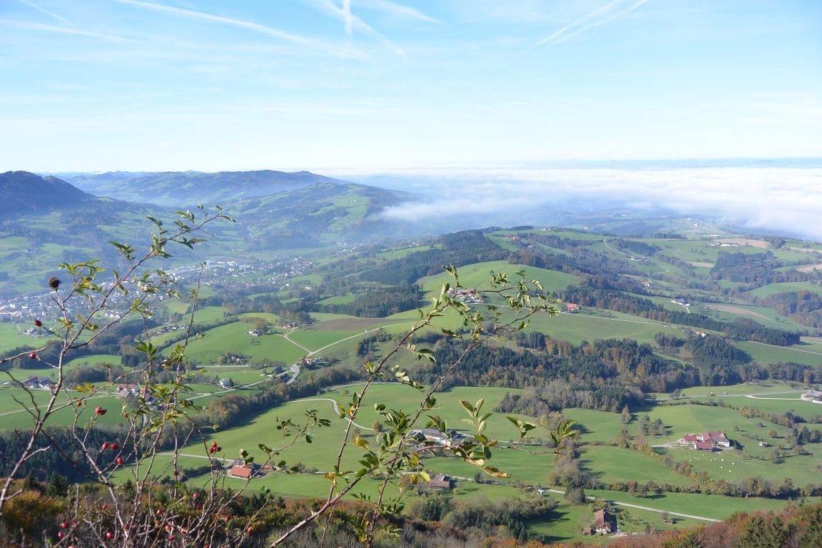 Aussicht vom Blassenstein
