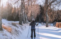Die verschneiten Pfade laden zu einer erholsamen Langlauftour ein, während die Bäume sanft im Winterlicht schimmern. Die frische, klare Luft und die ruhige Umgebung schaffen eine perfekte Kulisse für Naturliebhaber und Sportbegeisterte.