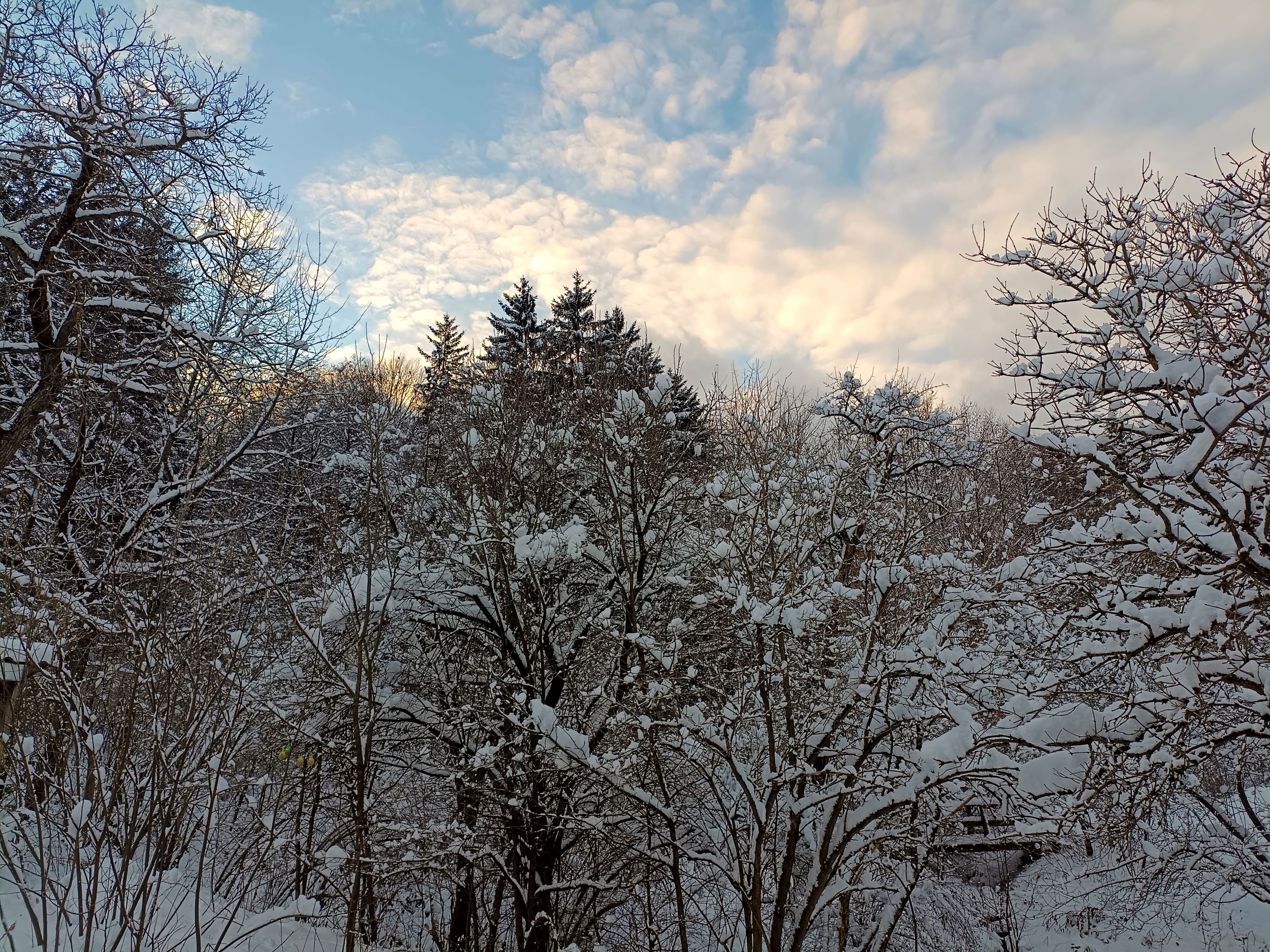 Wunderschöner Winter am 1000Krauthof