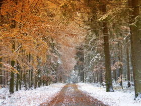 Winterlicher Wanderweg, © Johannes Heißenberger