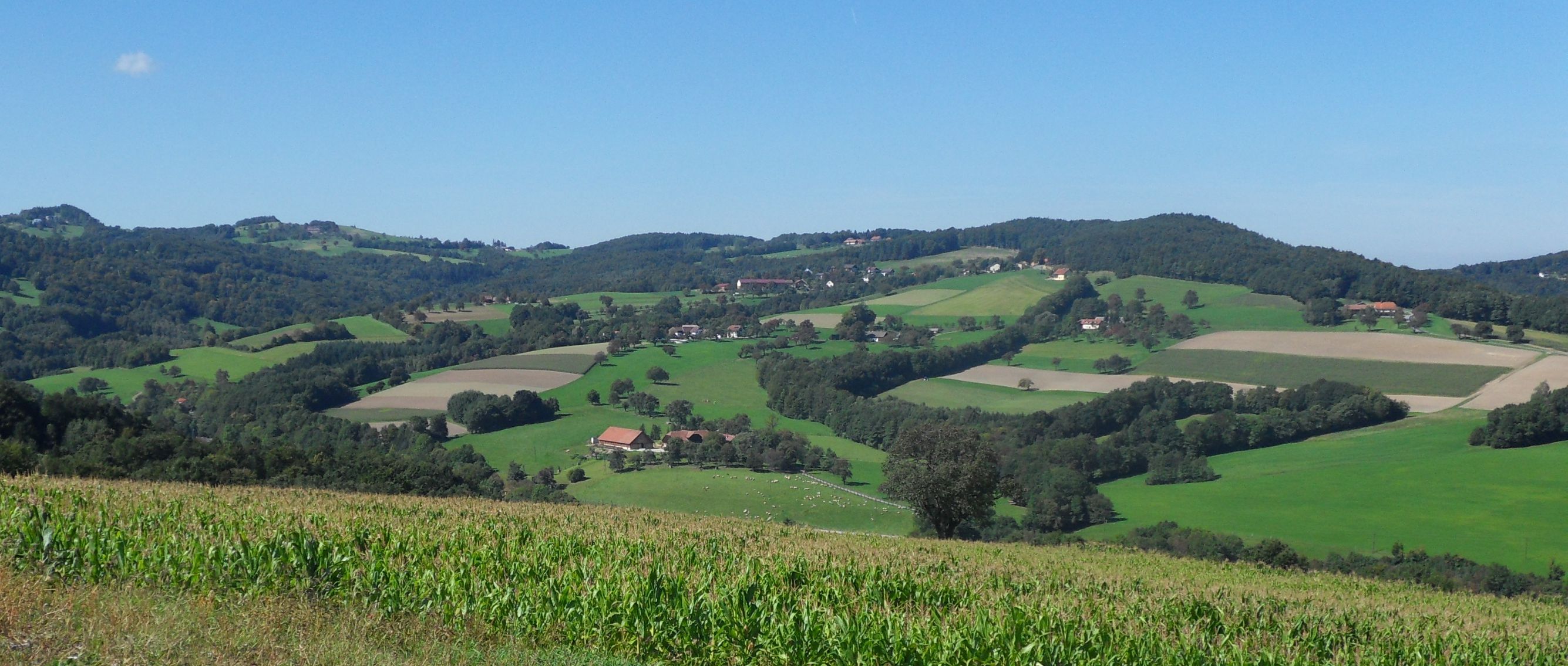 Landschaft mit grünen Feldern und Hügeln unter blauem Himmel.