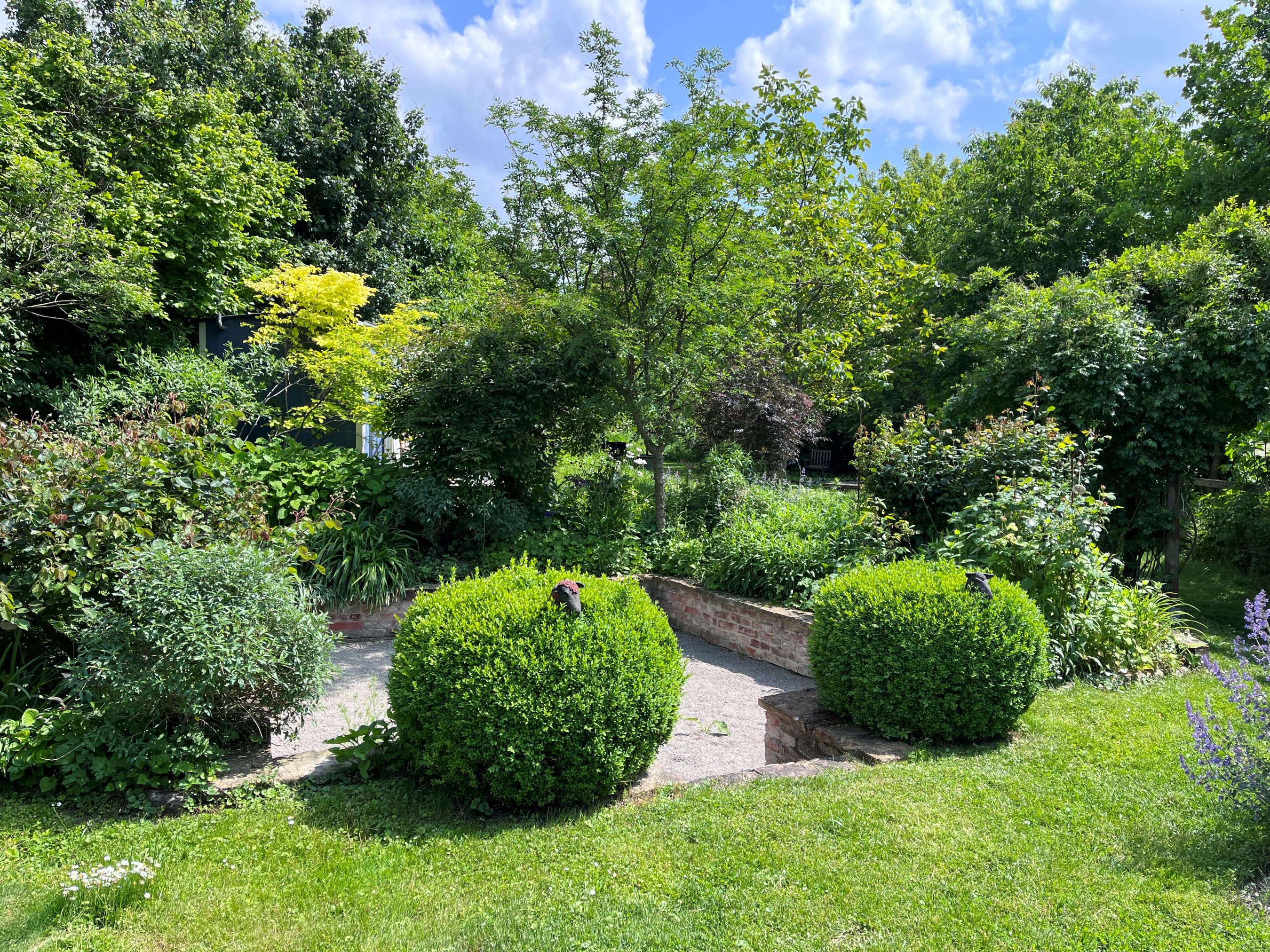 Ein grüner Schaugarten mit Büschen, Bäumen und einem gepflasterten Weg.