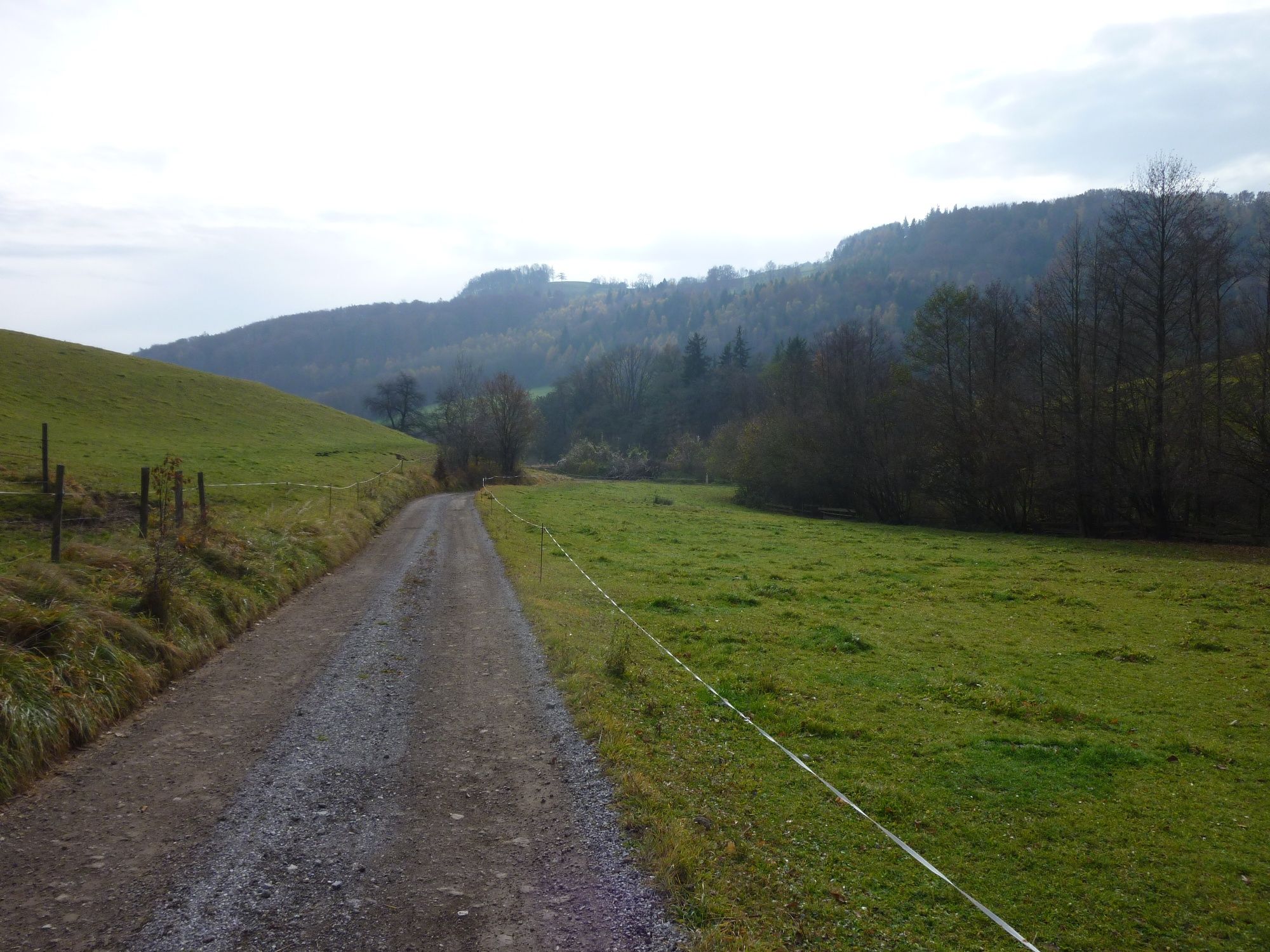 Rückweg nach Kaumberg