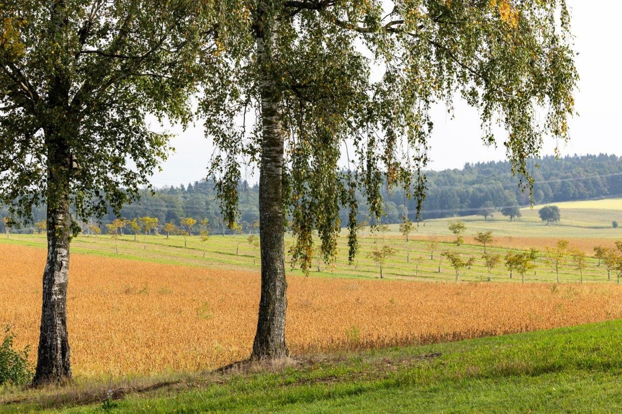 NUSSLAND, die Nussknacker die veredeln