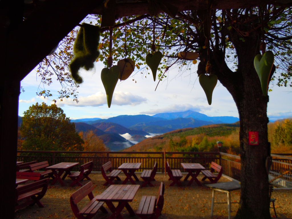 Terrasse mit Holztischen und Bänken, umgeben von Bäumen, mit Blick auf bewaldete Berge und Wolken am Horizont.